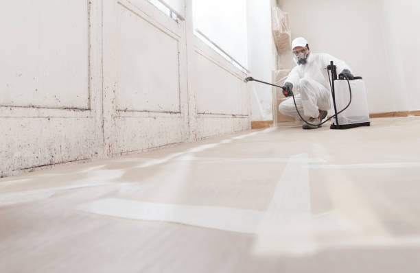 24/7 Emergency Mold Removal experts in Quincy, MA